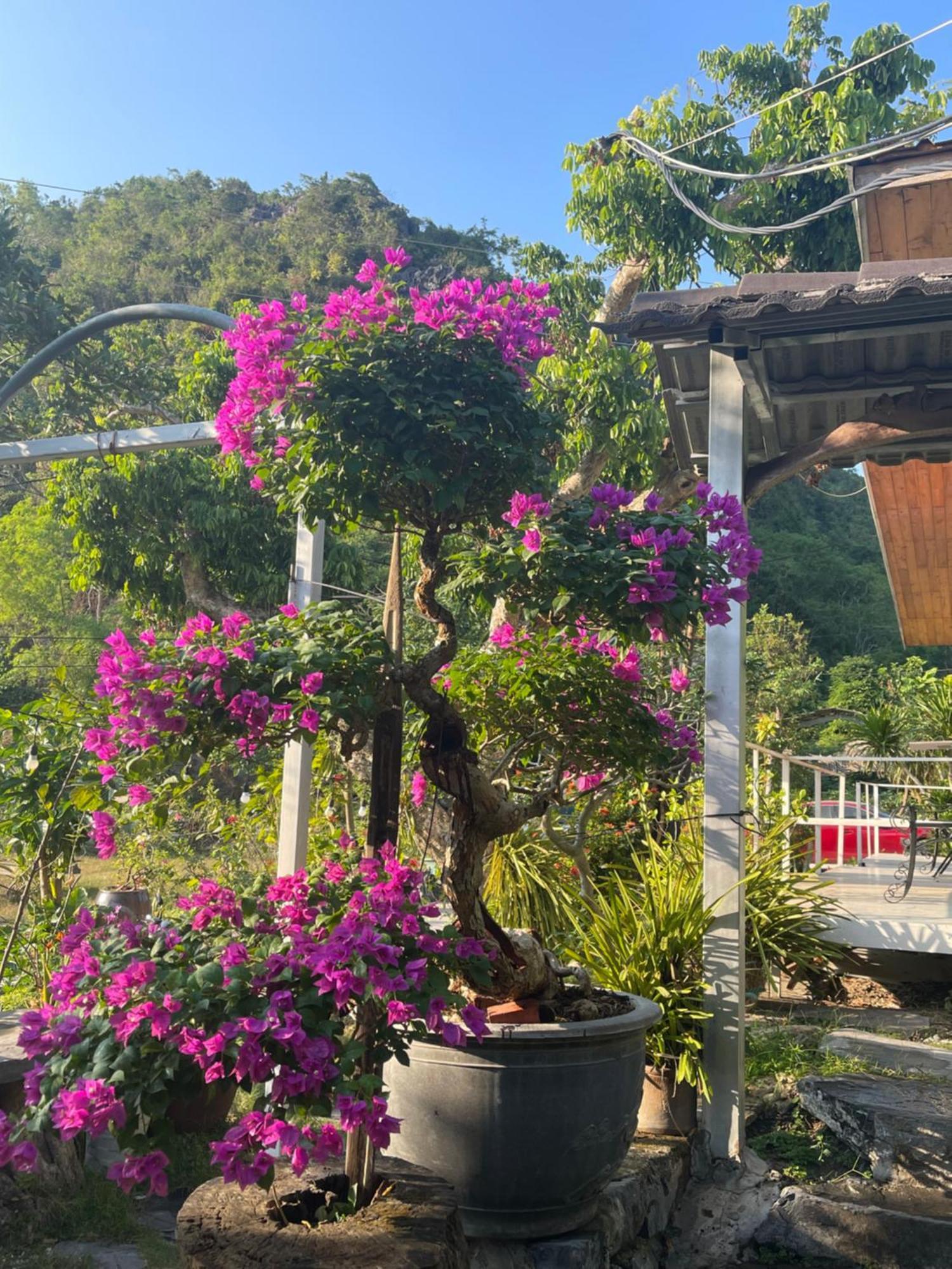 Cat Ba Love House Xuan Dam Экстерьер фото